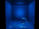 Liquid Dance2