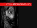 Yoklu?unda �zlerim G�l�m