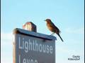 Images Of The St. Marks National Wildlife Refuge