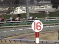 ?????53?????(53rd Arima Kinen - The Grand Prix)