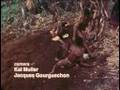 Land-Divers of Melanesia - PREVIEW