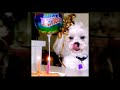 peoresnada.com - Happy Birthday to YOU!