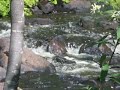 Watefall in the UP #4
