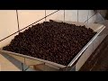 MonaVie an Extraordinary Process