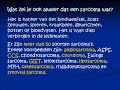 Een Vergeten Kanker 2008 - A Forgotten Cancer Een Vergeten Kanker 2008 - A Forgotten Cancer