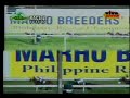 PIVOTAL RACE 2 SANTA ANA PARK MARHO DAY PIVOTAL RACE 2 SANTA ANA PARK MARHO DAY