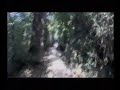 Cycling Towards St John\