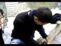 Historia de maor