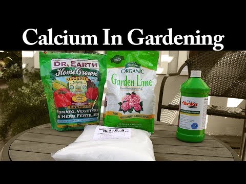 video-linktoworks-Calcium Products - What is calcium and how to use...