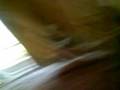 videos de Vegass pt 2
