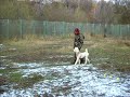 мот1