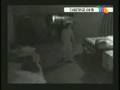 videos de Luis y marifer bailando