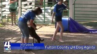 Fulton County 4H Fair - Dog Agility Show Highlights