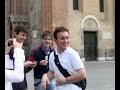 tavernello e i piccioni tavernello e i piccioni