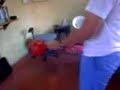 William y la bomba