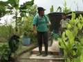 Colombian Coca Farmers living targets. WAR ON DRUGS