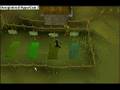 Runescape- my new account