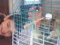 muhammed-ferhat