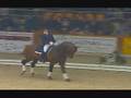 videos de Dressuurgala BEO Moorsele 2006 - WTV-verslag