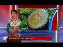 Nieuws (16-03-2008)