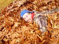 LeClaire Leaf-Raking CSF Promo LeClaire Leaf-Raking CSF Promo