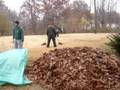 LeClaire Leaf-Raking CSF Promo