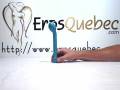 videos de 1203.flv