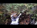 Several clips from ATV riding on the excellent Dun-Good Riders trails in Northern Marinette County Wisconsin. Also, exploring Smalley and Long Falls in the area.