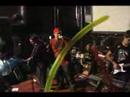 Peras Jones - Trem da Alegria