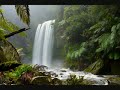 please subscribe