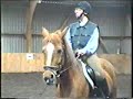 ahnungslos nach langer langer Reitpause....