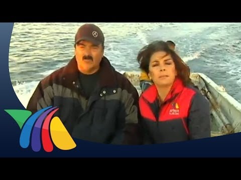 Yo amo mi dinero: Pesca de langosta