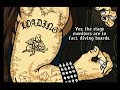 Guitar Hero 3 Custom - Jordan - Expert - PS2