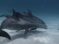 I made this video with Windows Movie Maker