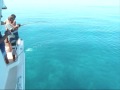 Trevally Fishing