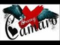 push push lady lighting bang camero