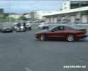 1995 Firebird Doughnuts