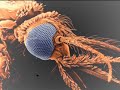 �tica e Ecologia - Um alerta mundial