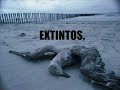 Ética e Ecologia - Um alerta mundial