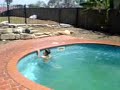 Bellyflop Bellyflop