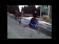 NEWFOUNDLAND JACKAS the DOWN HILL KIDDY CART