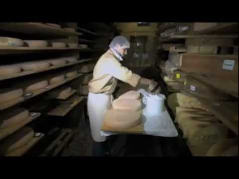 sheep milk