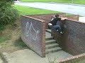Parkour Parkour