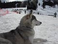 Mt Bachelor Trucks in Snow - Makes Rail Park and Tubing