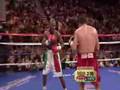 De La Hoya Mayweather Highlights