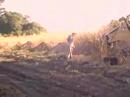 lalo-huber-asociaciones-mentales-y-anclajes-2.html