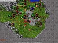 Hydra Hunt Julera Tibia