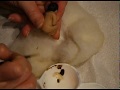 Blushing OOAK mini baby sculpture