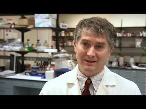 Multiple Sclerosis Research at Johns Hopkins