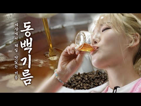 우리만 먹기 아쉬워서 히밥한테 먹여봄 - 제주 동백오일 찍먹!?